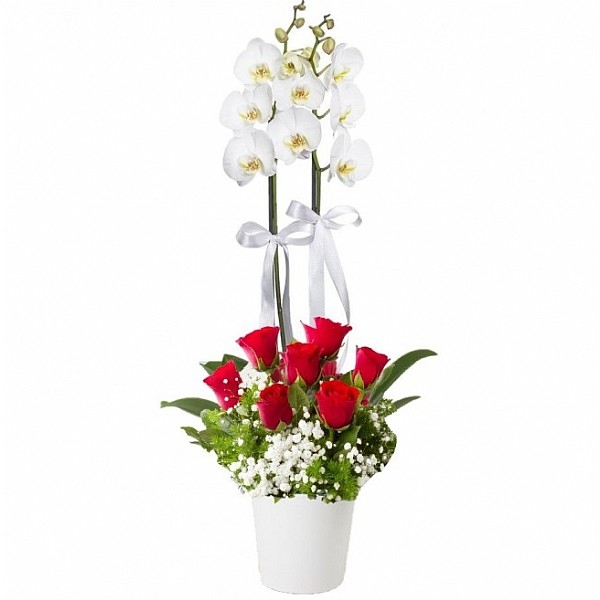 beyaz orkide ikili ve kırmızı  güller